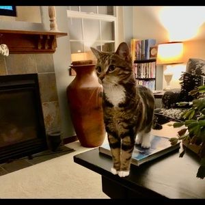 Meet your Posher, Susan